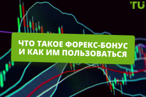 foreks-bonusy-chto-nuzhno-znat-trejderu